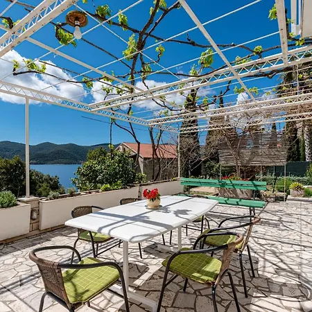 By The Sea Viganj, Peljesac - 19391 アパート オレビック